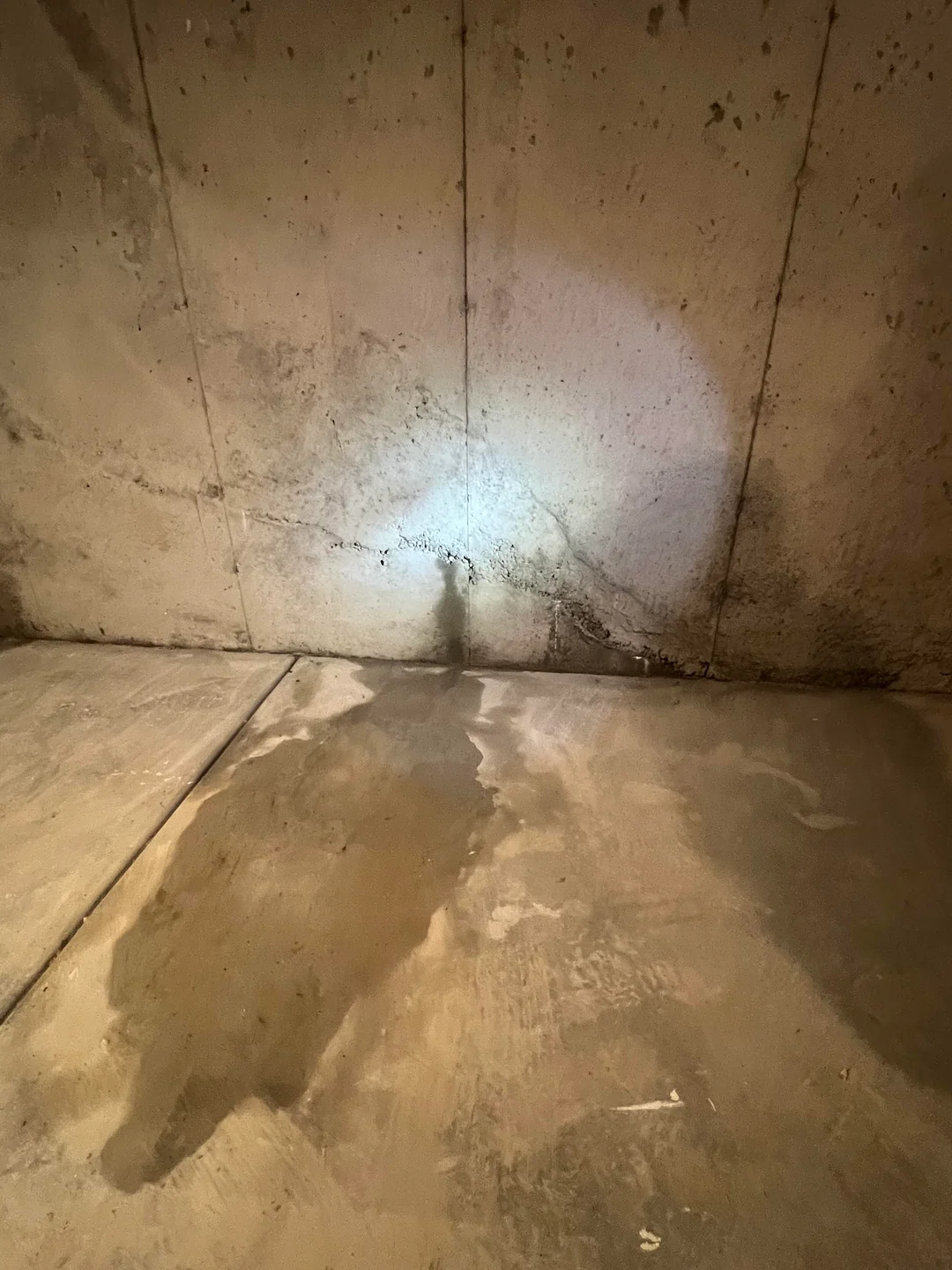 Basement waterproofing Portland technician inspecting an older stone foundation basement