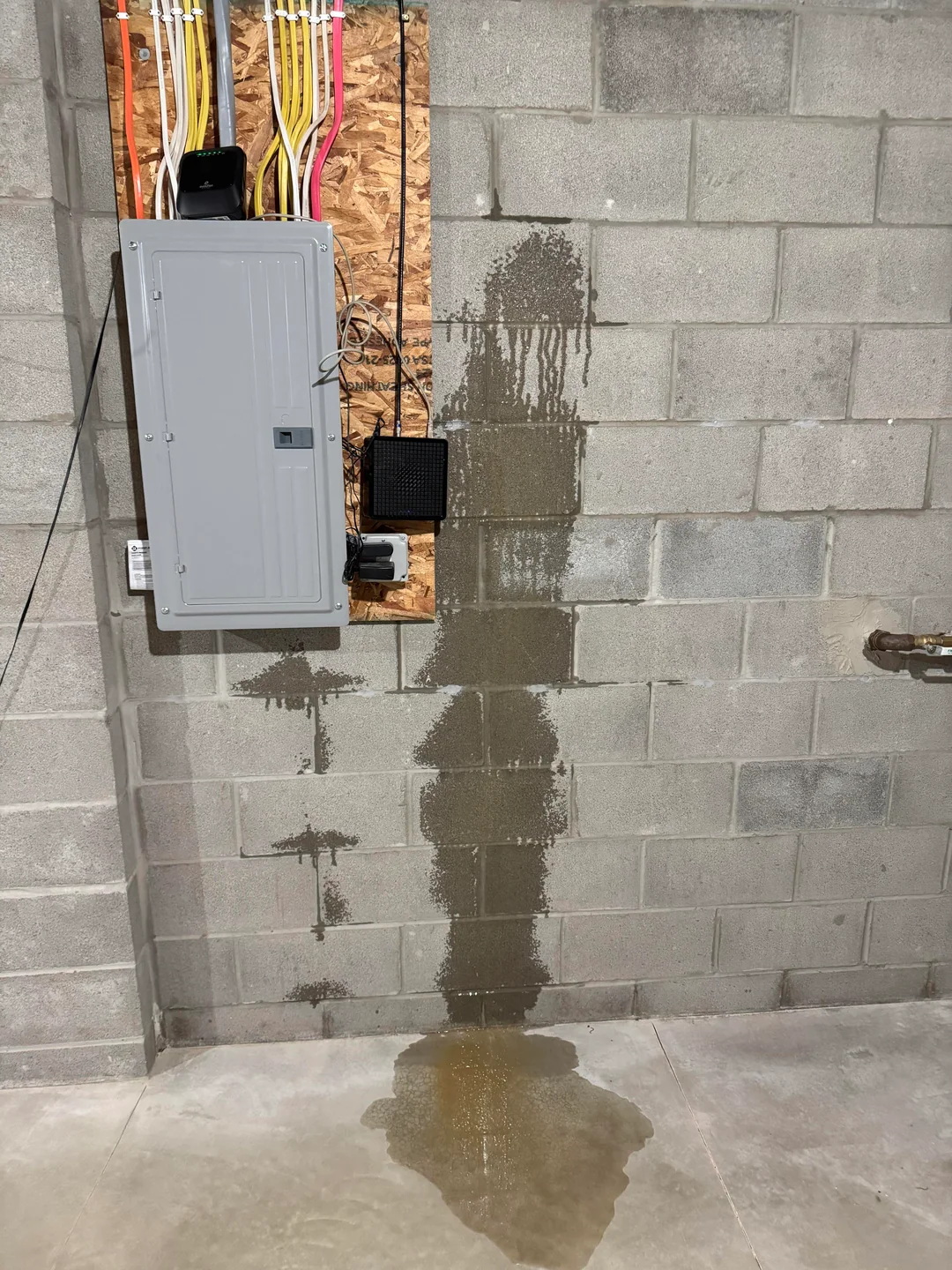 Crawl space moisture addressed before encapsulation, basement waterproofing in Hawthorne, Portland